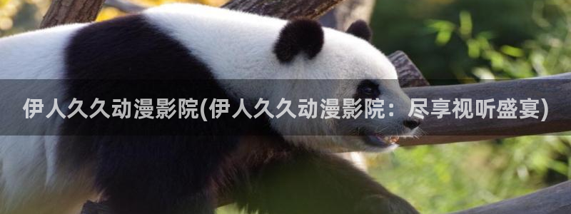 伊人网视频如何下载