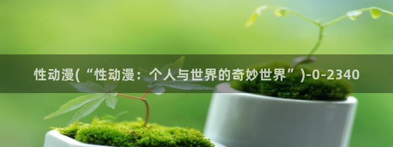 飞机杯动漫