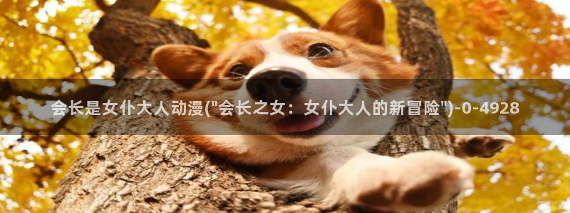 动漫黄片