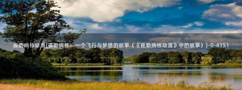 风车动漫官网：夜勤病栋动漫(夜勤病栋：一个飞行与梦想的故事（《夜勤病栋动漫》中的故事）)