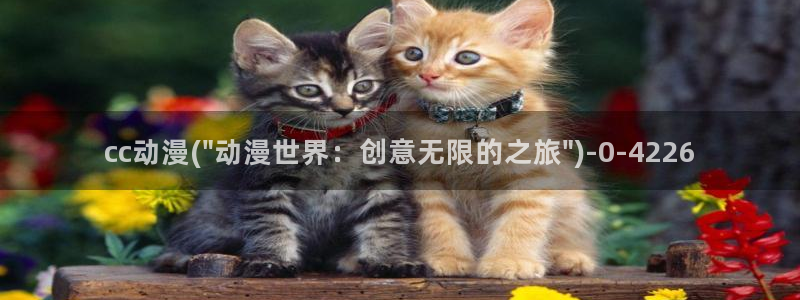 里番动漫在线观看