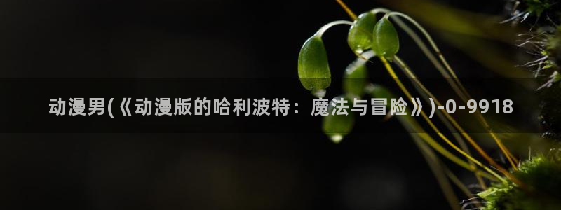 精灵之森动漫